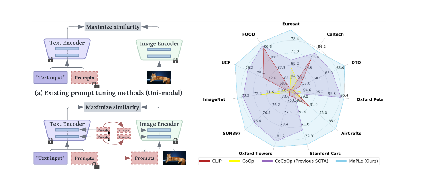 MaPLe motivation and overview